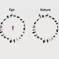 Ego - Nature
